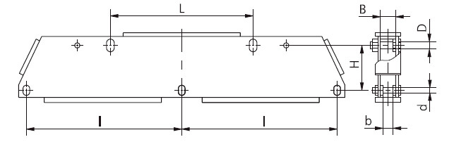 Рис.1. Схематическое изображение коромысла 3КД2